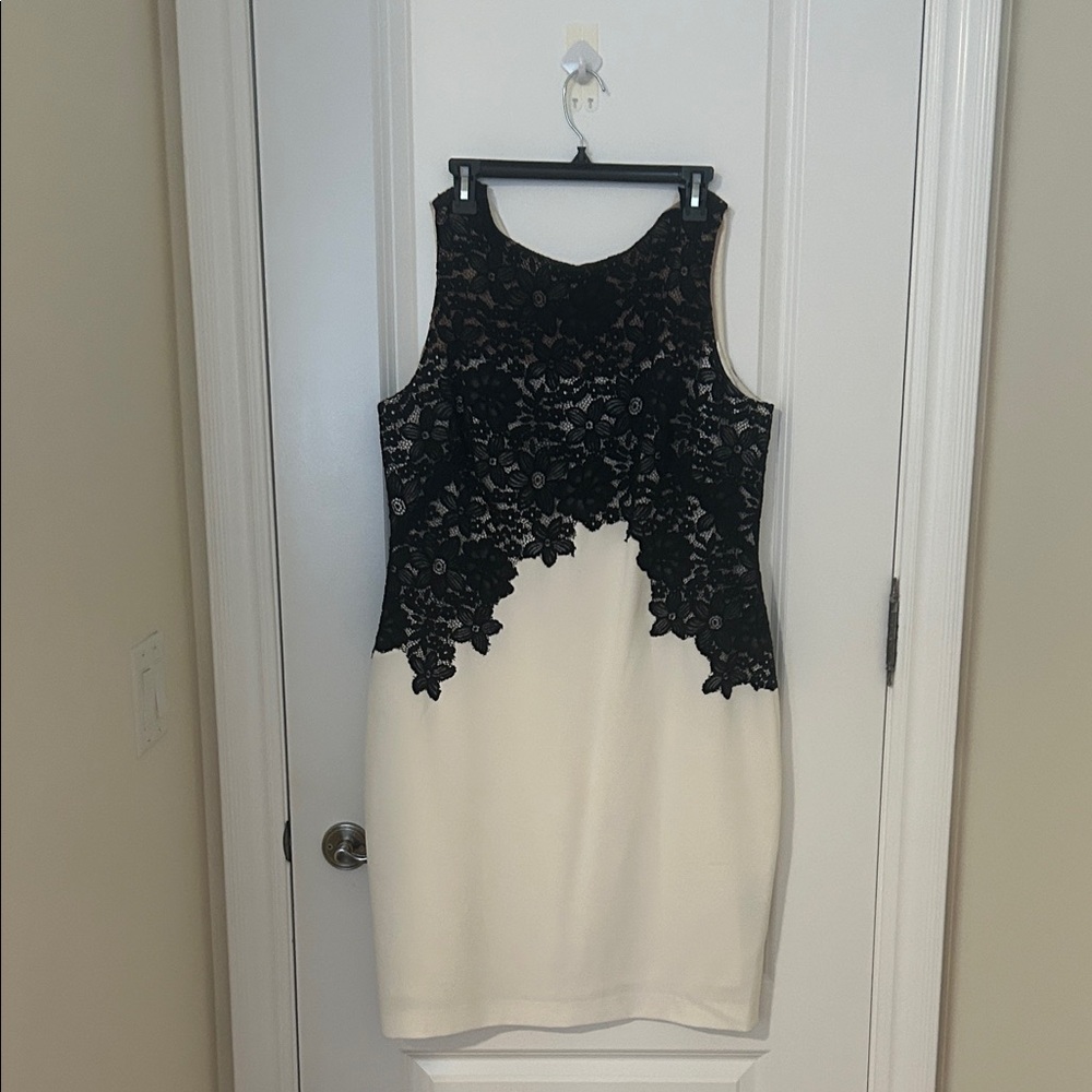 Ralph Lauren Black Lace Overlay Cream Midi Dress